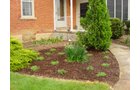 Property photo 51 - REAL ESTATE AUCTION! Grand Historic All Brick Home on 2.45 Acres!